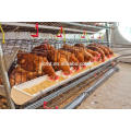 Feuerverzinkte Hühnerstallausrüstung installiert